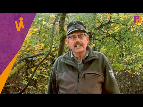 YouTube-Video-Thumbnail