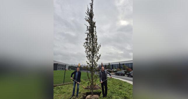 Bürgermeister Lothar Christ und Piepenbrock Regionalgeschäftsführer Thorsten Seewöster pflanzen Säulen-Blutbuche in Werne. (Bild: Piepenbrock Unternehmensgruppe)