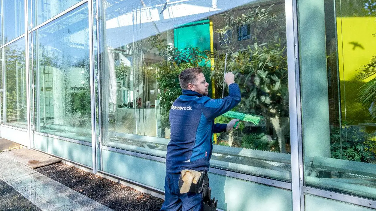Fenster professionell reinigen