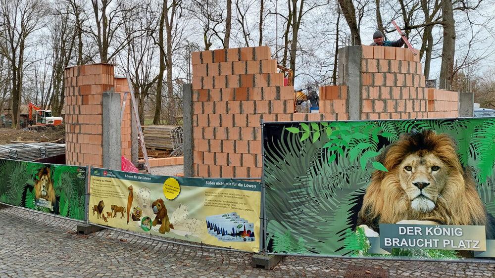 Neues Löwengehege im Tierpark Straubing