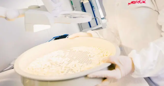 25 000 Quadratmeter reine Räume Merck Darmstadt: im Auftrag für Produktsicherheit